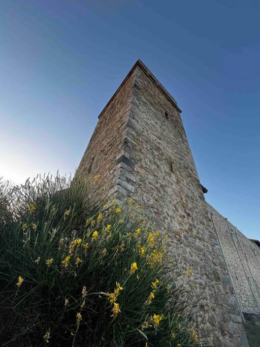 Medieval Tower In Umbria With Swimming Pool Montelagello エクステリア 写真